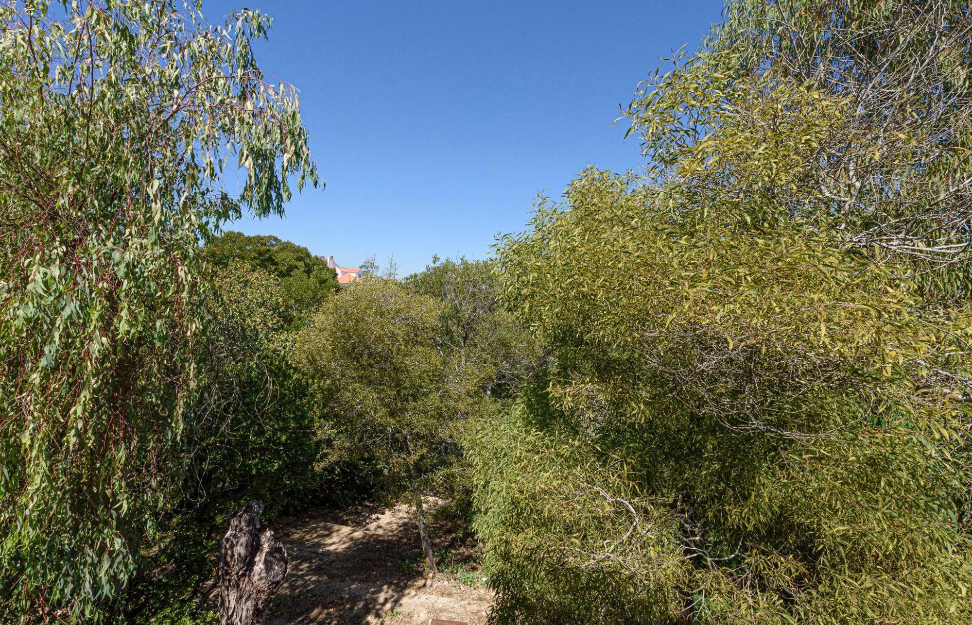 Quinta De Sao Pedro Villa Sobreda ภายนอก รูปภาพ