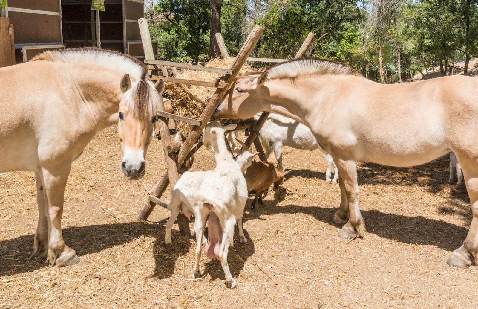 Quinta De Sao Pedro Villa Sobreda ภายนอก รูปภาพ