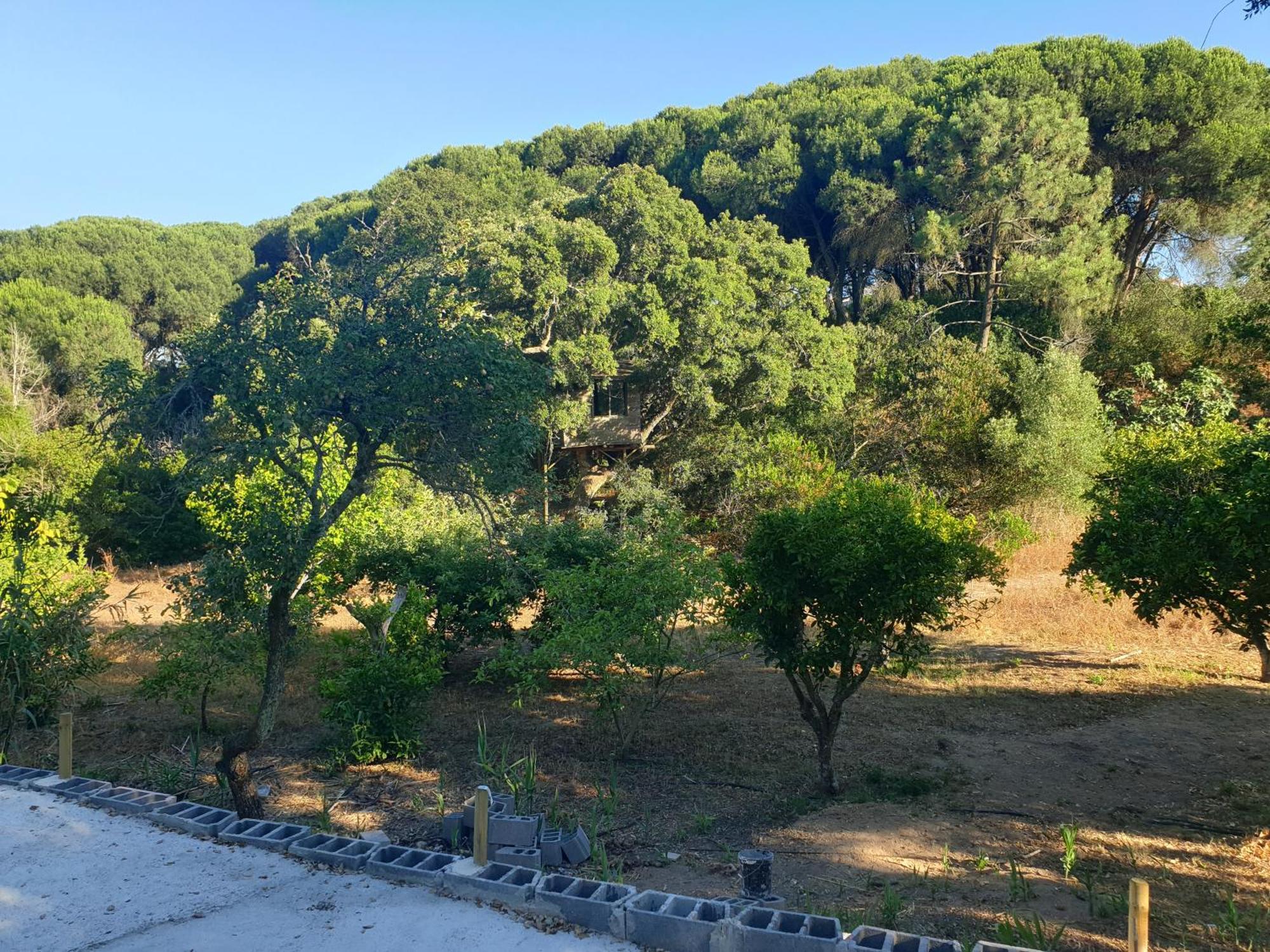 Quinta De Sao Pedro Villa Sobreda ภายนอก รูปภาพ